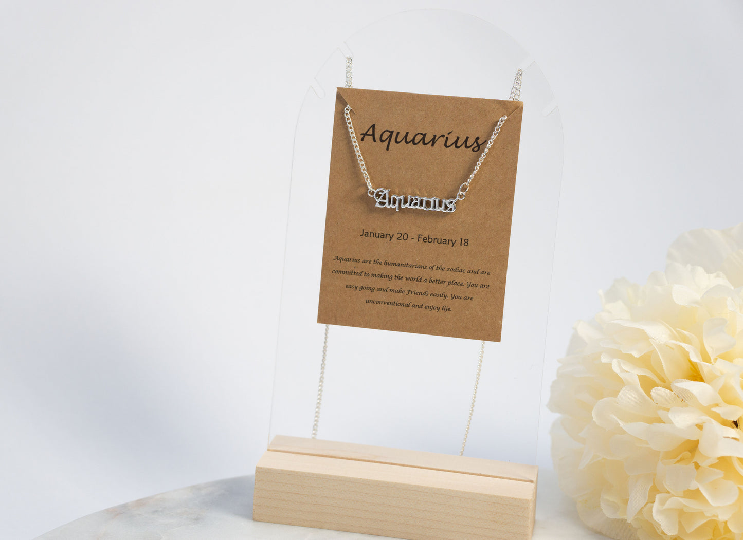 Zodiac Necklace - Her Jewel•ry Box